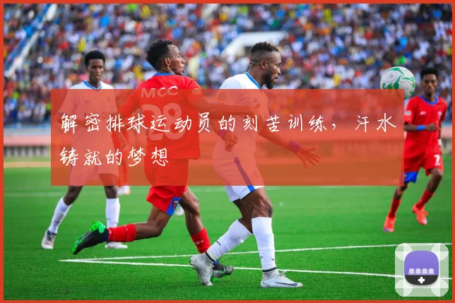 解密排球运动员的刻苦训练，汗水铸就的梦想