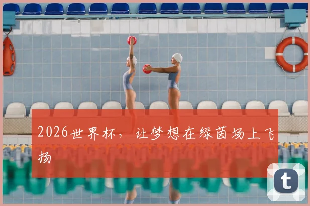 2026世界杯,让梦想在绿茵场上飞扬