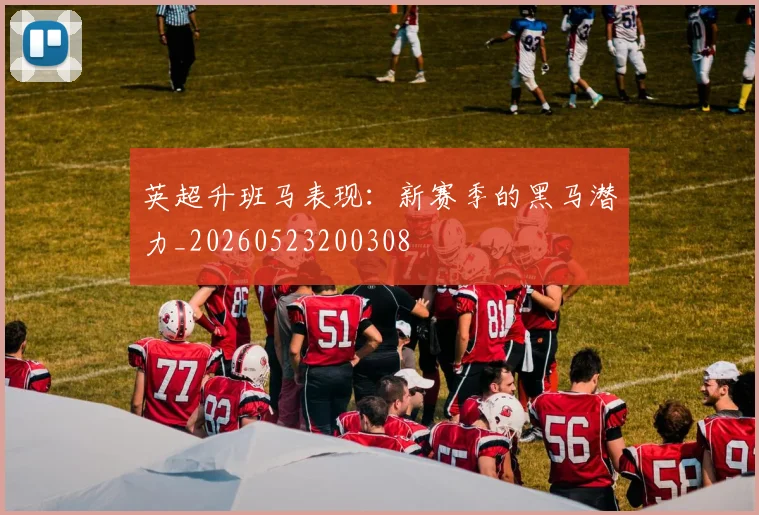英超升班马表现:新赛季的黑马潜力_20260523200308