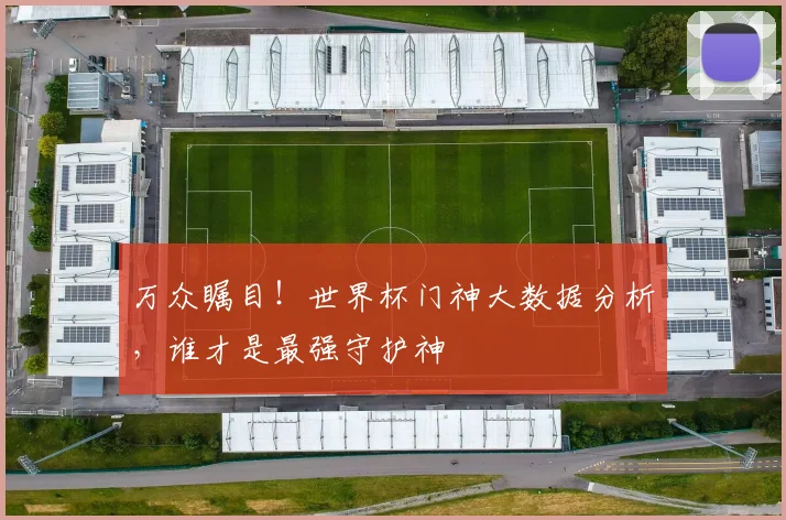 万众瞩目！世界杯门神大数据分析，谁才是最强守护神