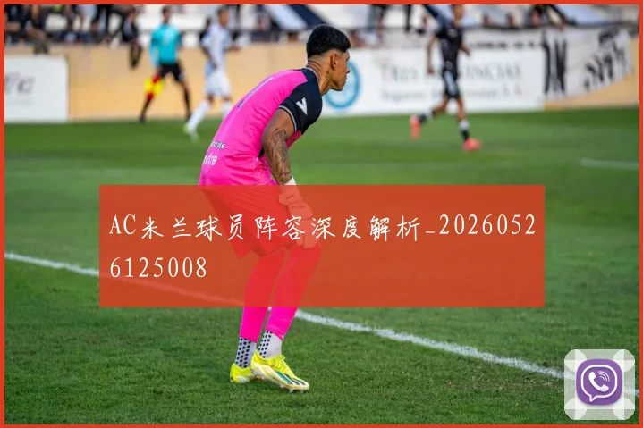 AC米兰球员阵容深度解析_20260526125008